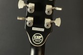 ESP James Hetfield Truckster-6.jpg
